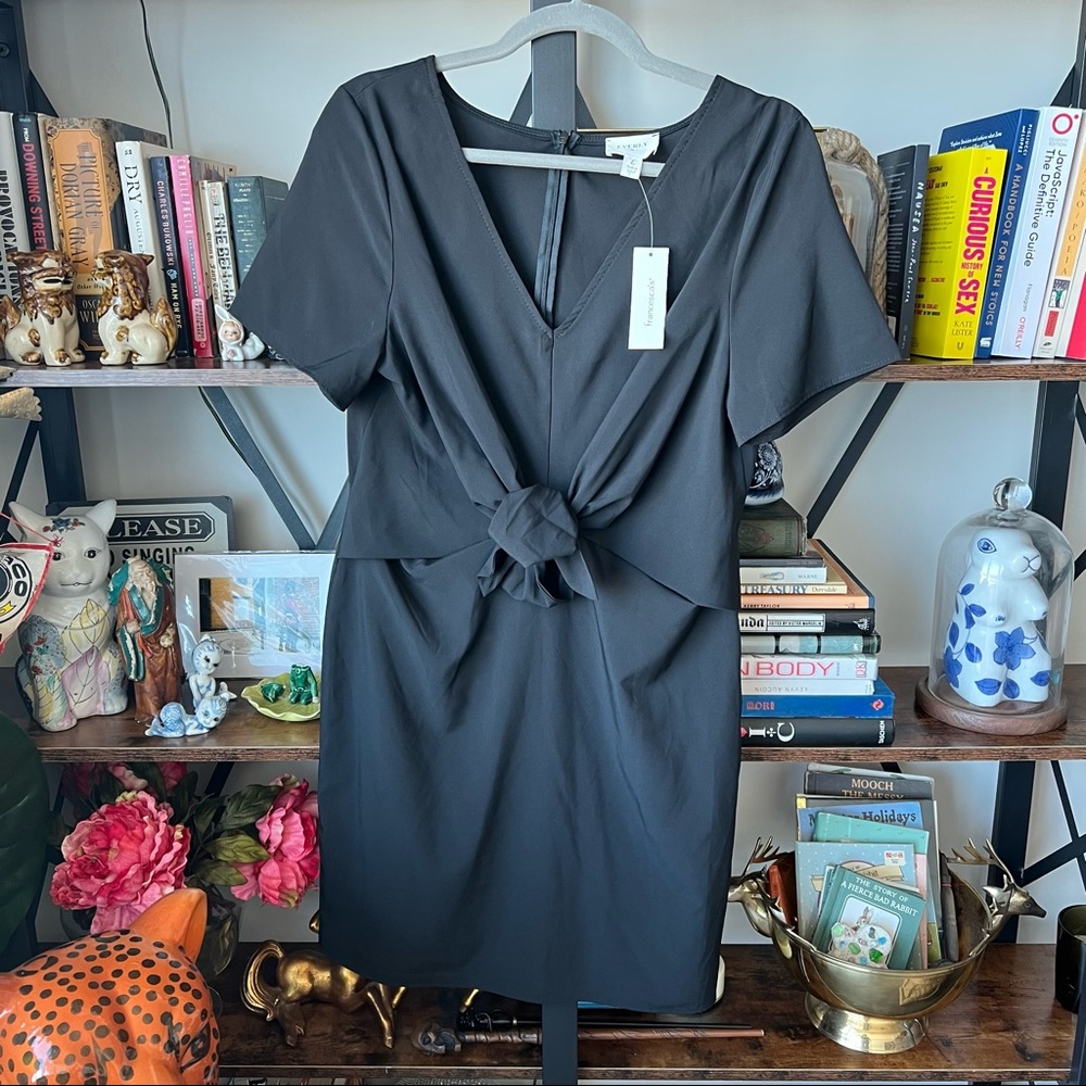 NWT Anthropologie Francescas (sold at both) | Everly Bow Dress